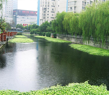 天然水体修复