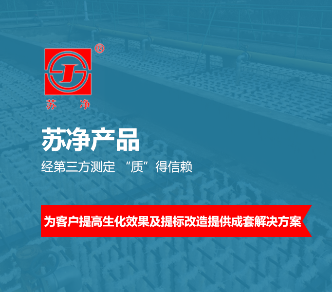 bwin.com生物填料 专利产品