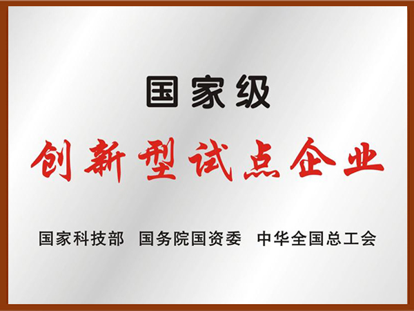 国度级创新试点企业